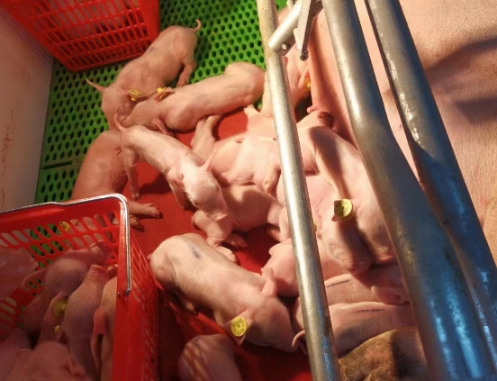 微信截图_20250627155557.png