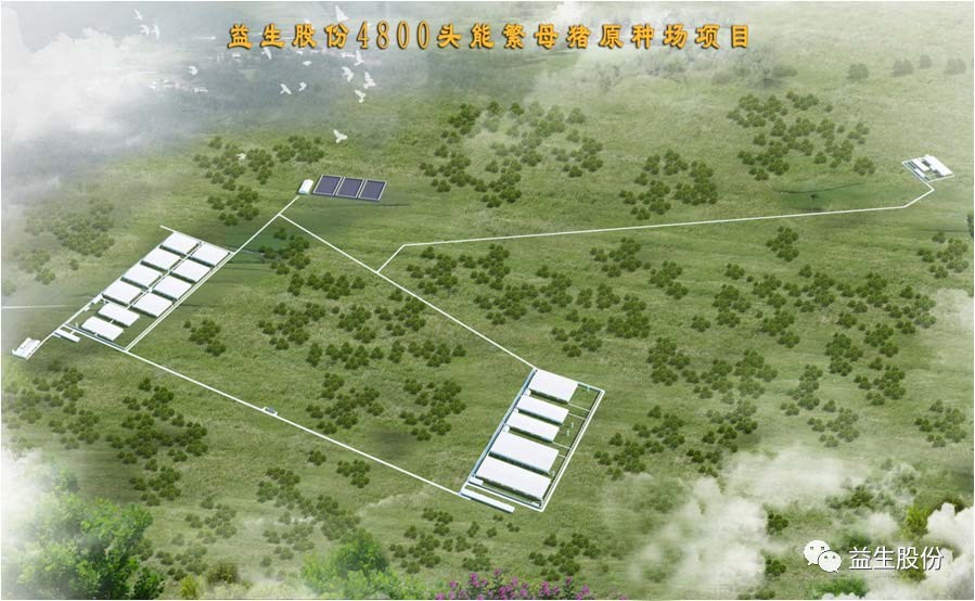 【喜讯】黑龙江4001百老汇种猪繁育有限公司原种猪场建设项目开工